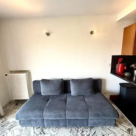 T2 Lumineux Avec Piscine Et A Pieds A Mandelieu